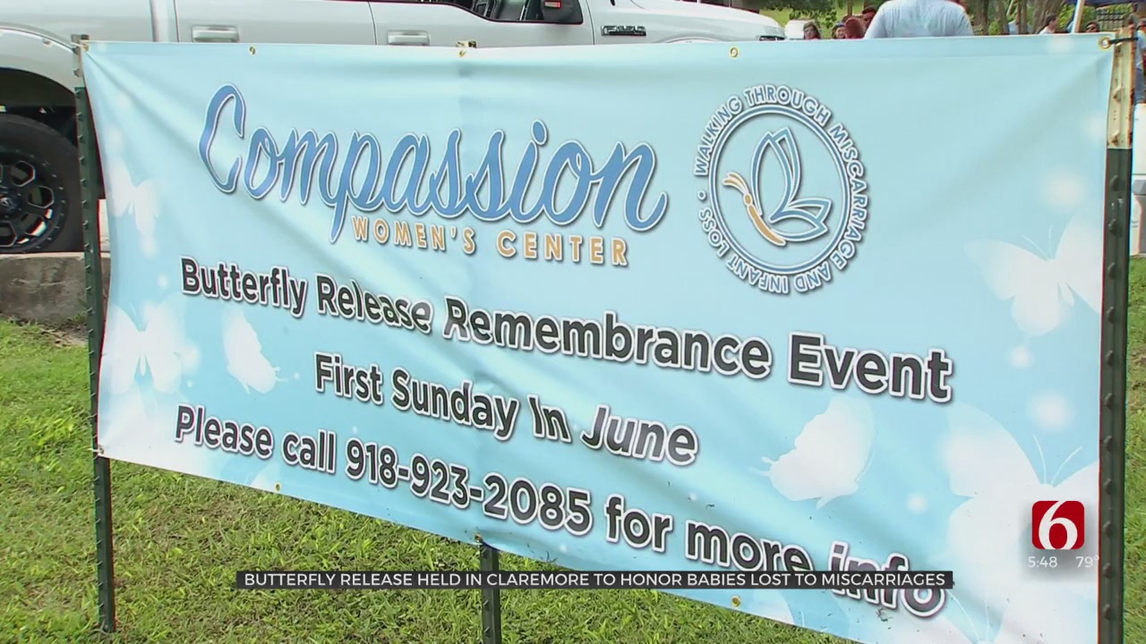 Organizers Hold Butterfly Release Honoring Lost Babies