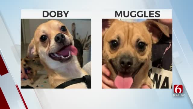 Pet Of The Week: Doby & Muggles