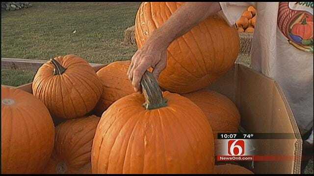 It May Be Slim Pickings At Tulsa Area Pumpkin Patches
