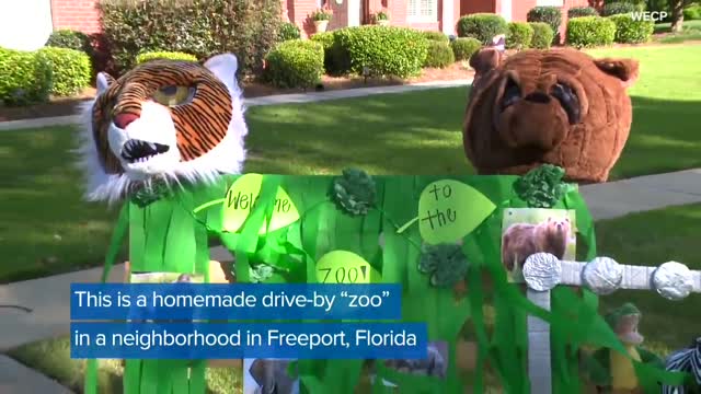 WATCH: Florida Residents Create Drive-By 'Zoo' In Neighborhood