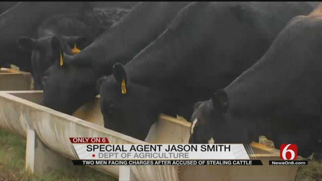 Two Men In Jail After Stealing Cattle In Checotah