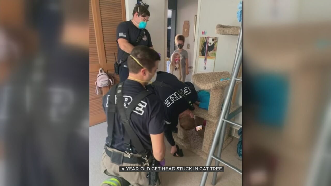 Firefighters Called To Help 4-Year-Old Wisconsin Boy Stuck In Cat Tree
