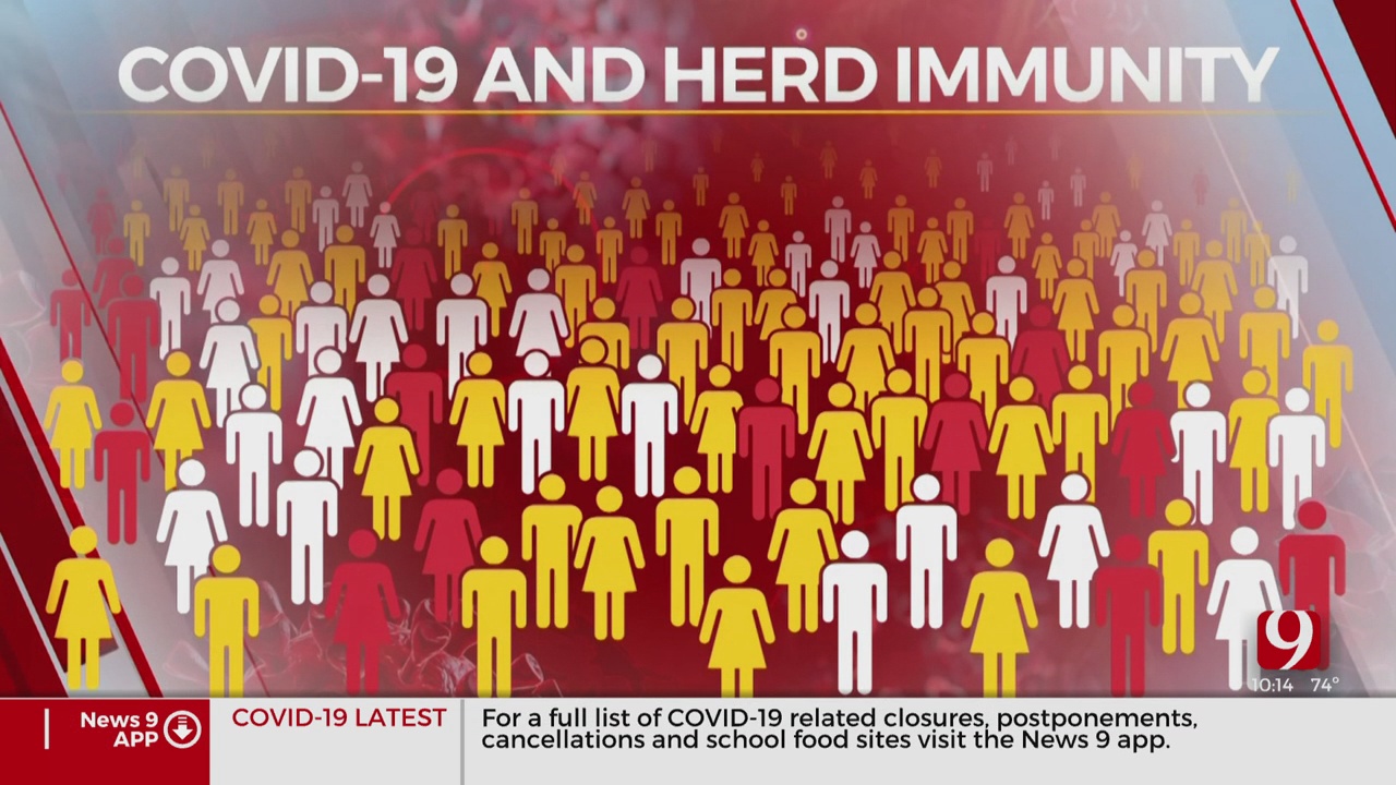 Coronavirus (COVID-19) Recovery Depends on Herd Immunity, Doctor Says