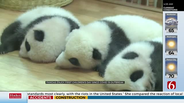 Panda Cubs Celebrate 'Children's Day'