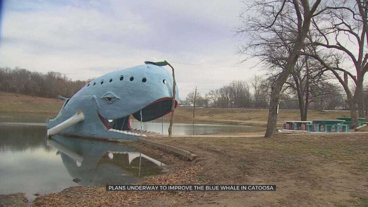 Plans Underway To Preserve, Improve Blue Whale In Catoosa