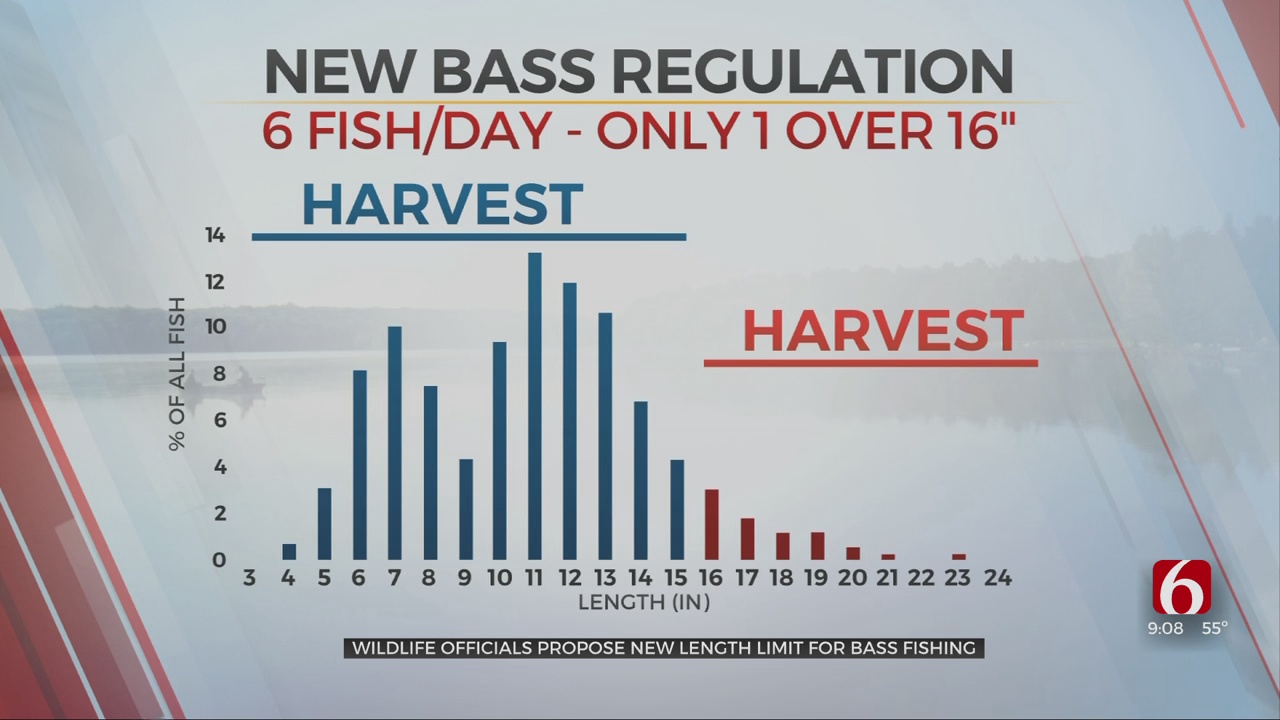 Wildlife Officials Propose New Length Limit For Bass Fishing