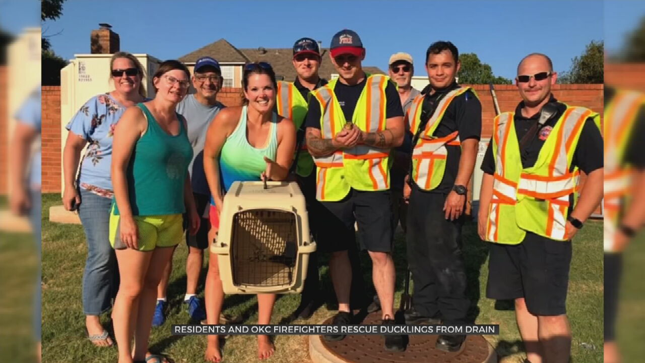 WATCH: Ducklings Saved After Falling Into OKC Storm Drain