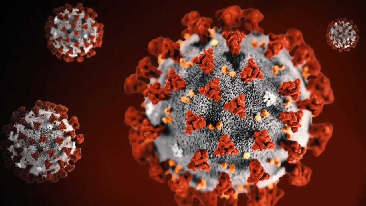 Doctors Test Potential Treatment For Coronavirus Using Recovered Patients' Antibodies