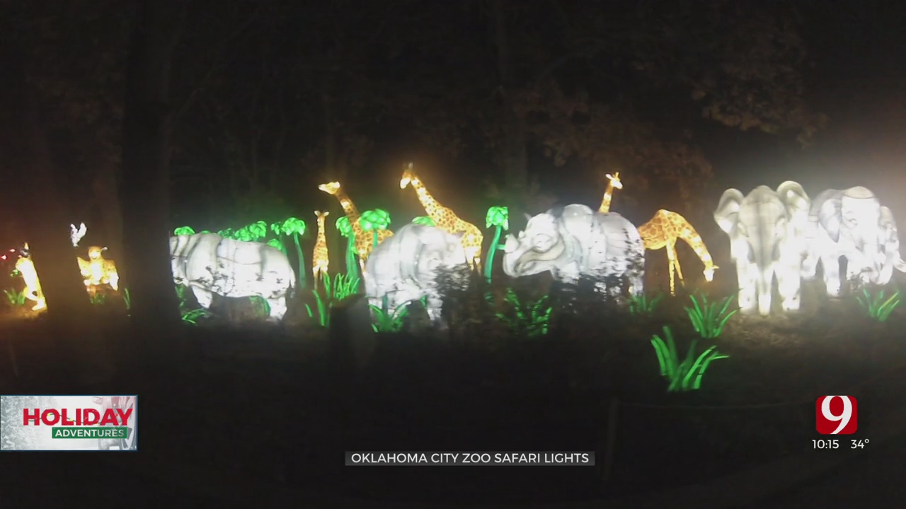 Holiday Adventures: Oklahoma City Zoo Transforms With Safari Lights