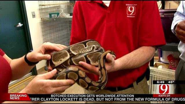 Jed Castles Faces Fear Of Snakes