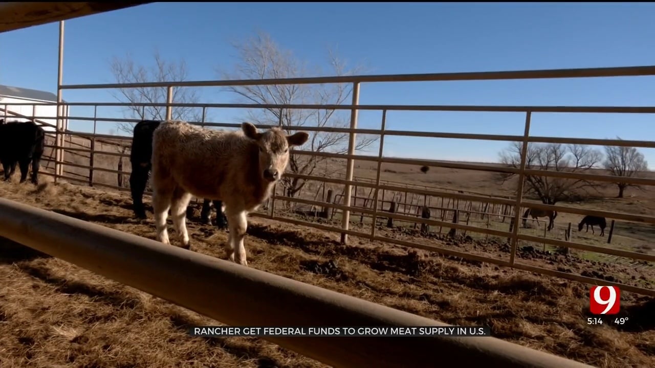 Oklahoma Rancher Receives Grant Money To Grow Meat Supply