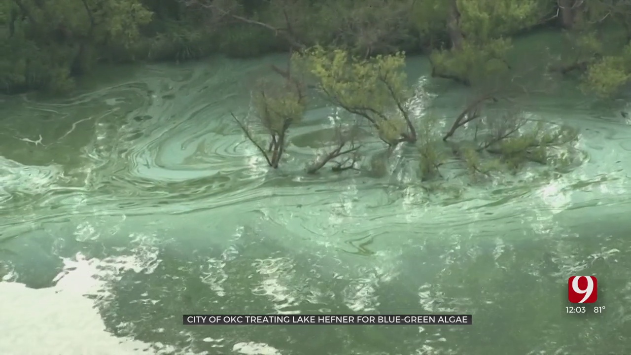 Blue-Green Algae Reported In Lake Hefner