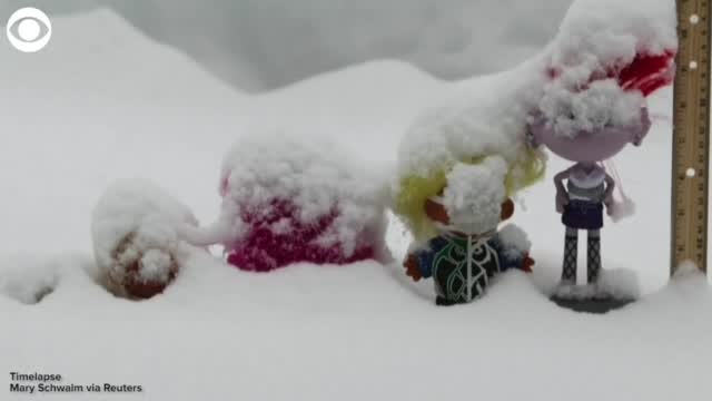WATCH: Timelapse Video Shows Snowfall Being Measured By Troll Dolls