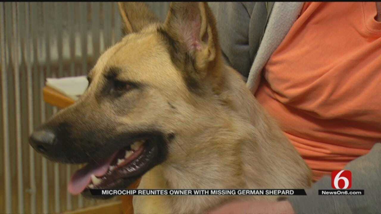 Lost Service Dog Reunited With Owner Thanks To Rogers Co. Deputies