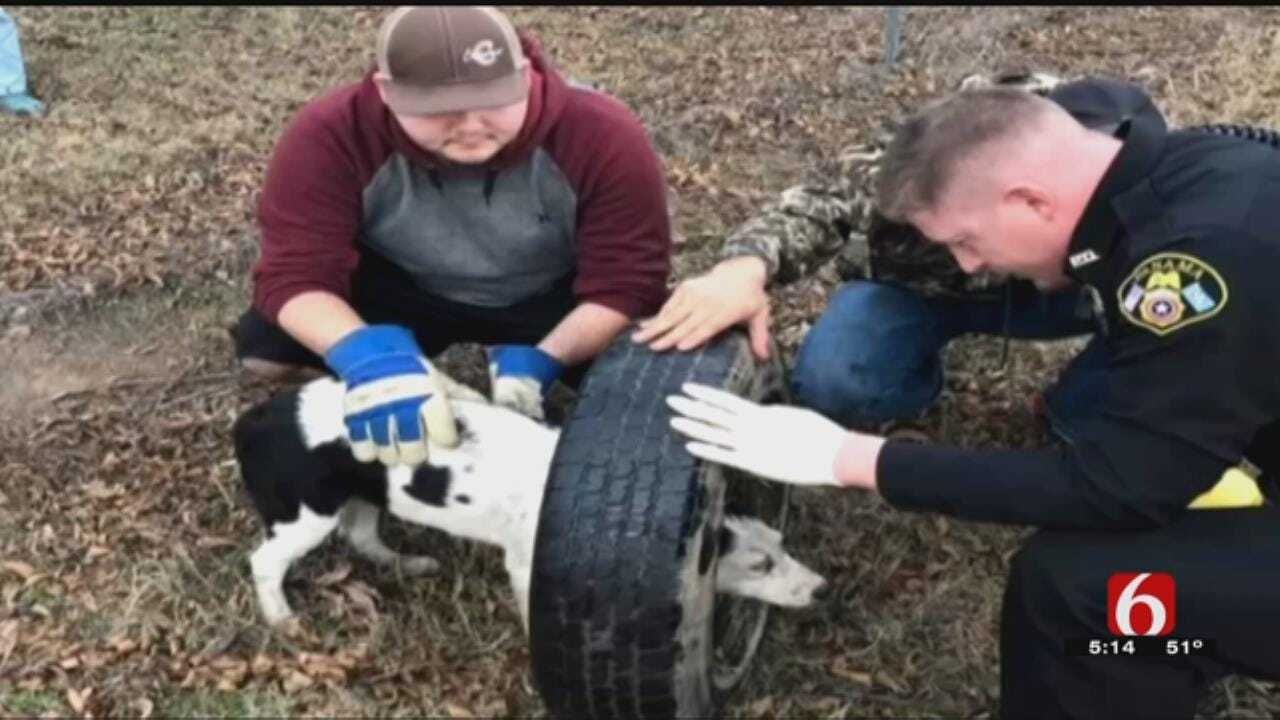 Police Officer In LeFlore County Rescues Puppy Stuck In Tire Rim
