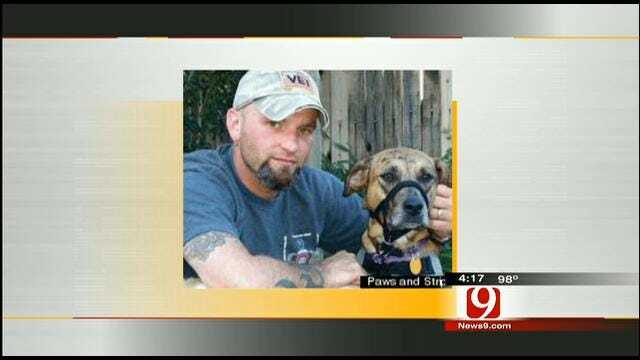 Hot Topics: Veteran's Dog Abused By United Airline Employees