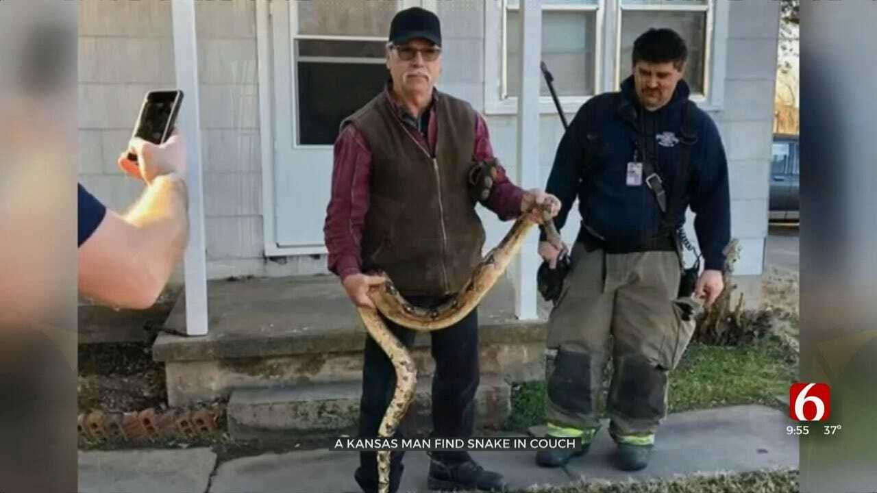Kansas Man Finds Giant Snake In His Couch