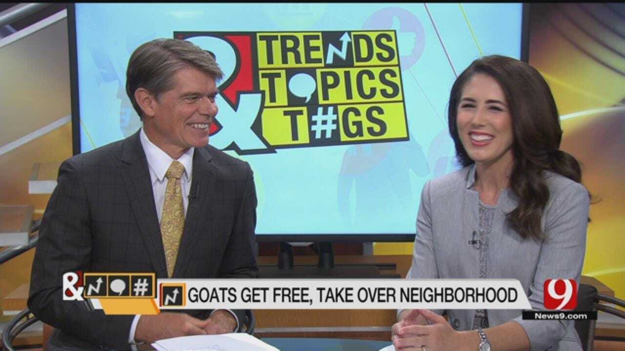 Trends, Topics & Tags: Loose Goats