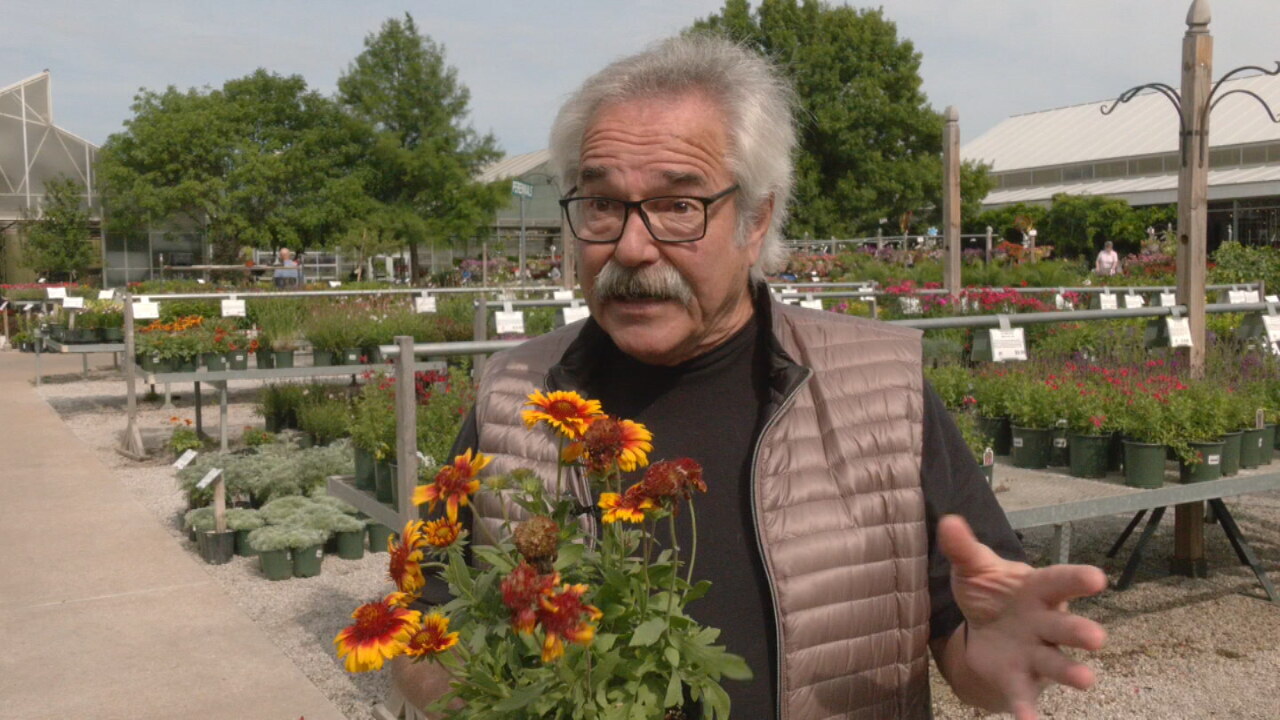 "The Gardener Guy" Shares Tips On Pollinators In Your Garden