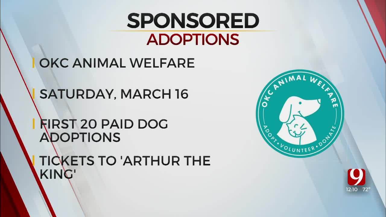 20 Dog Adoptions To Be Sponsored By Lionsgate This Saturday In Oklahoma City