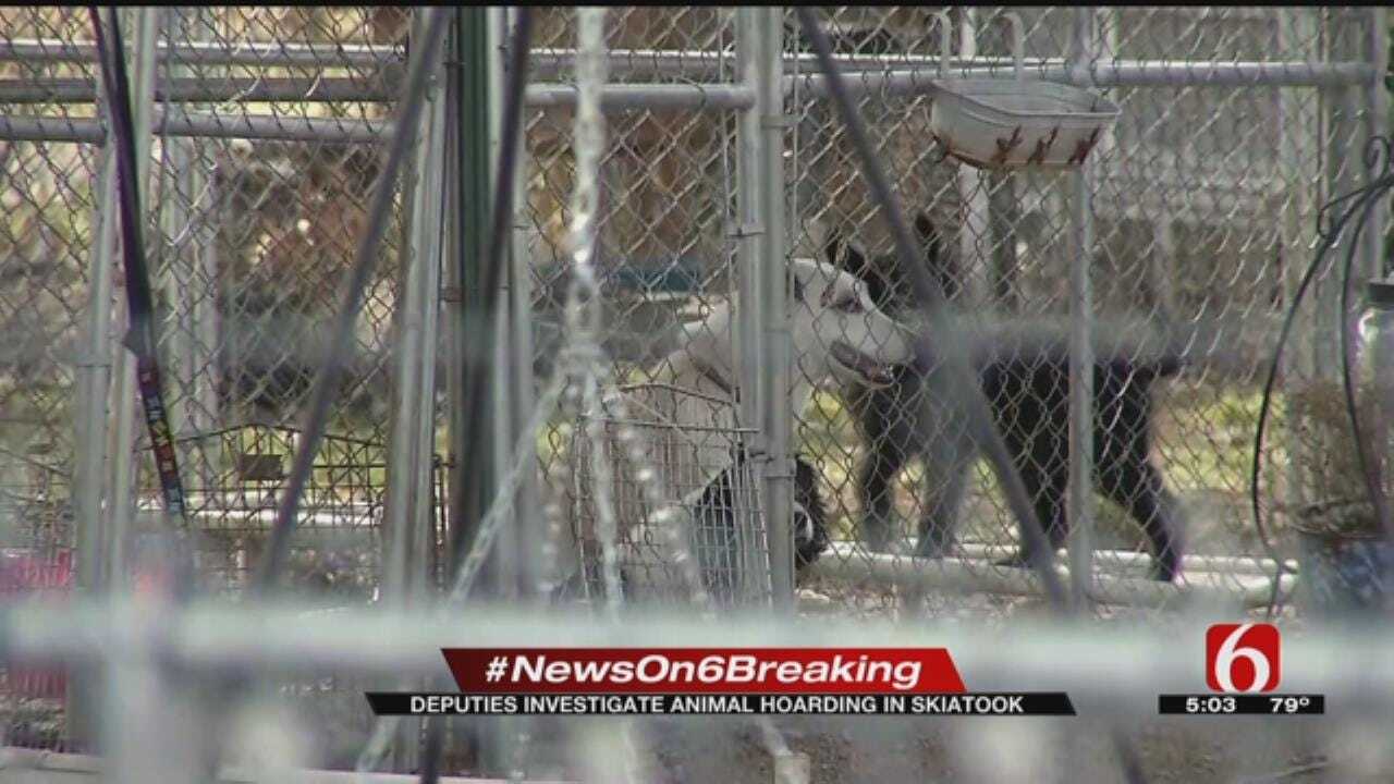 TCSO: Over 100 Animals Found Inside Woman's Home