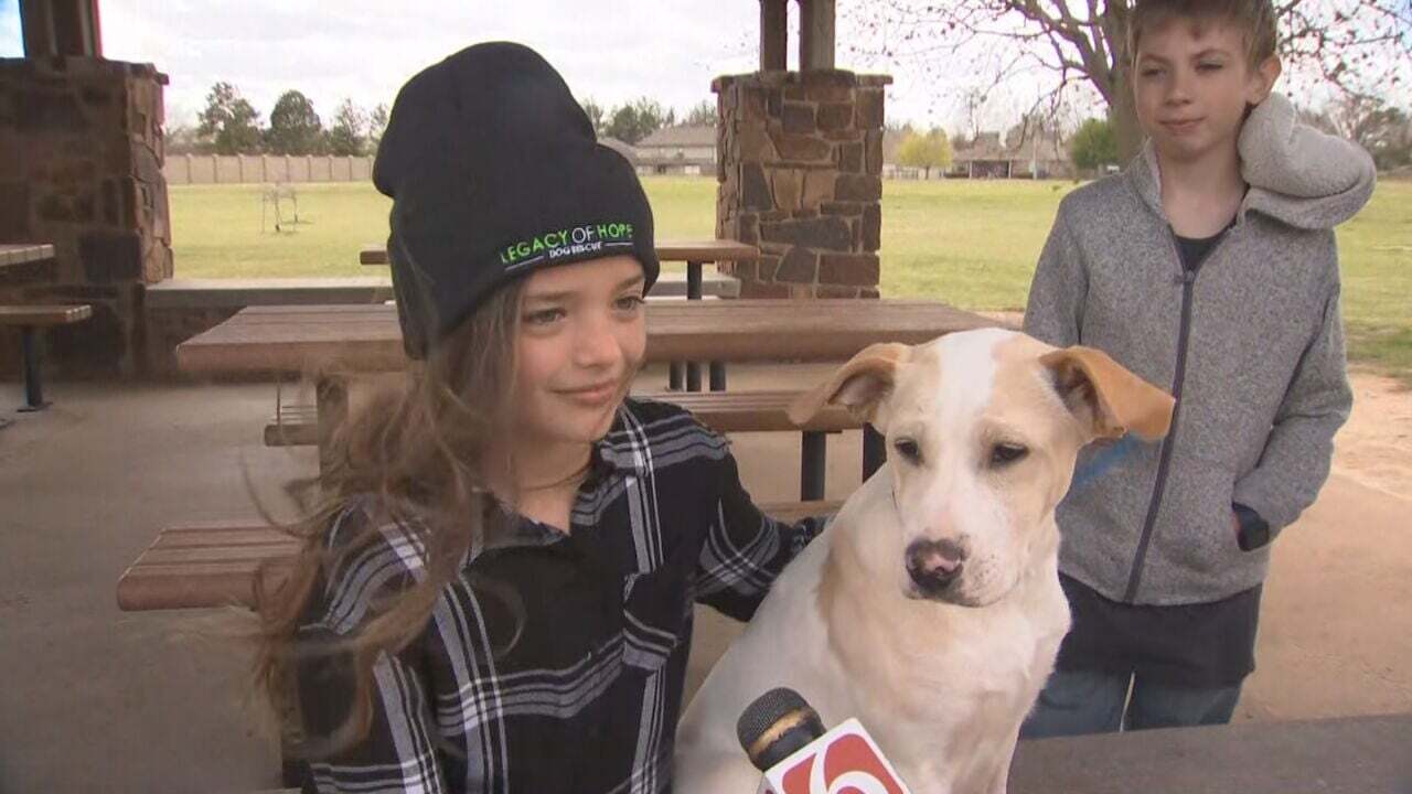 9-Year-Old Raises $600 For Local Animal Rescue