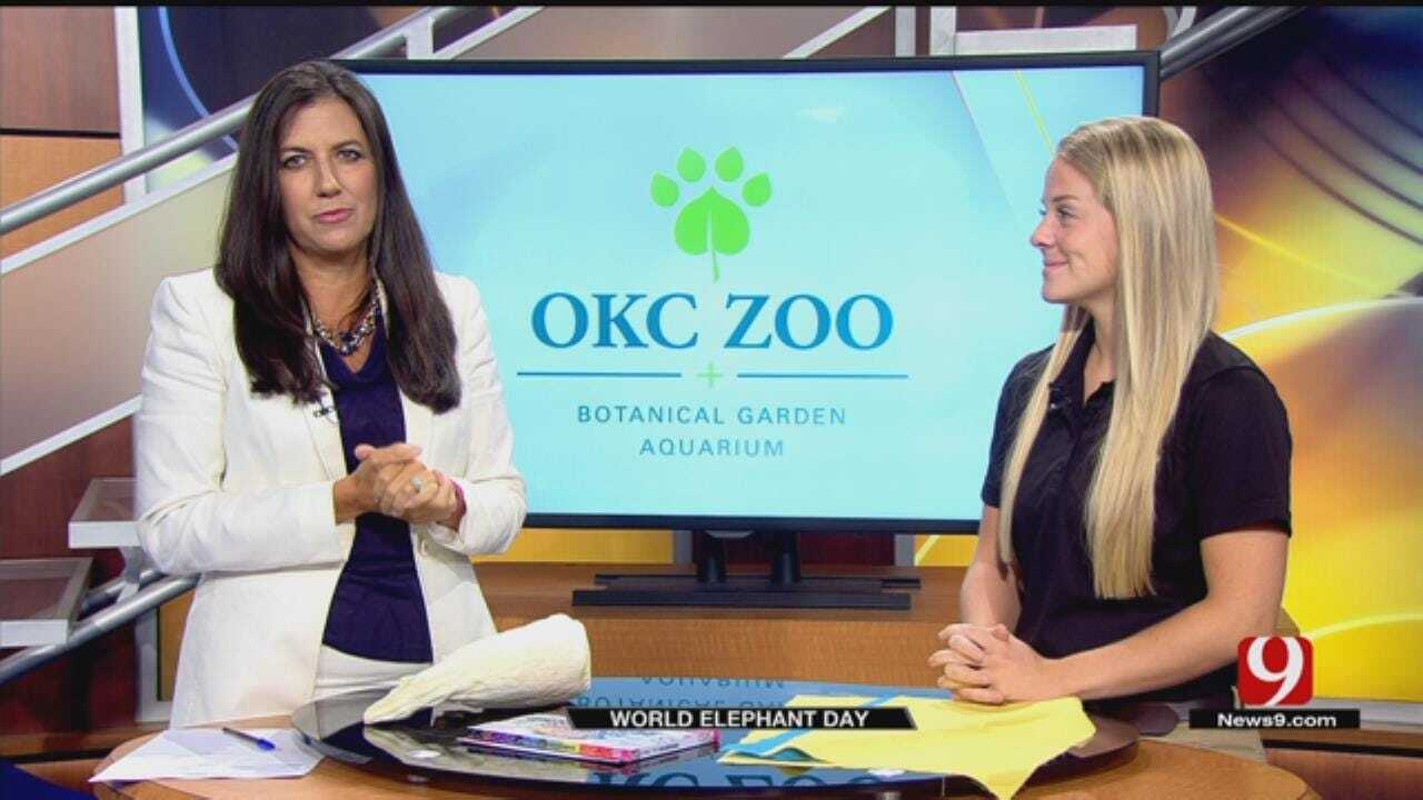 OKC Zoo: World Elephant Day Activities