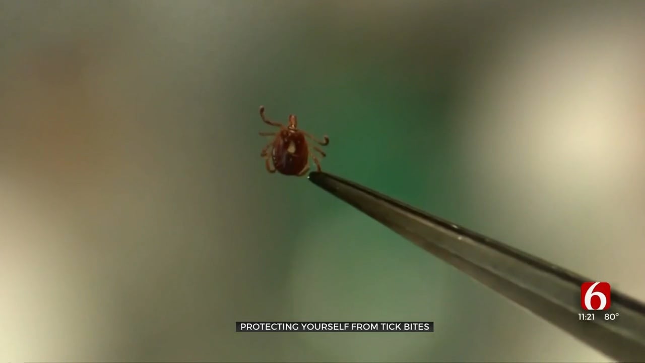 Protecting Yourself From Tick Bites