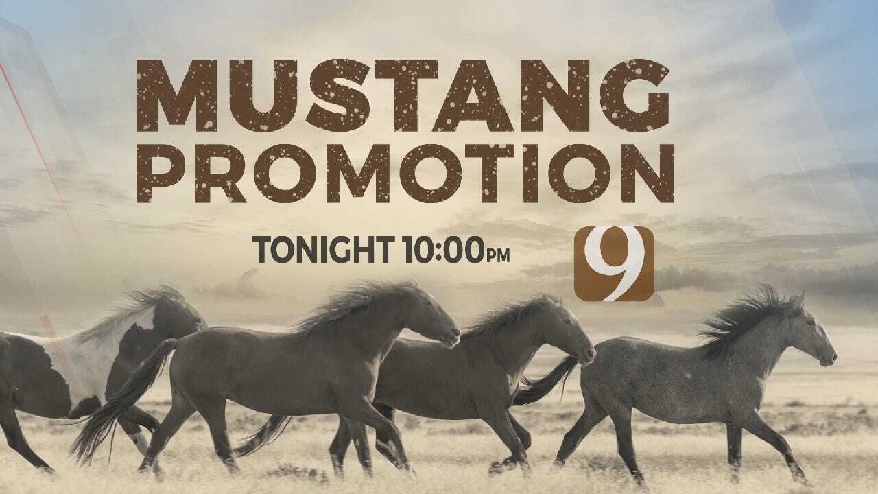 mustang promotion ton.mp4