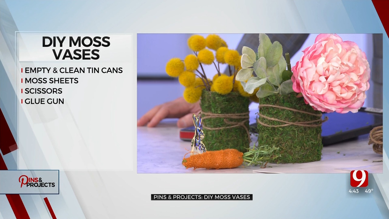 Pins & Projects: Moss Vases