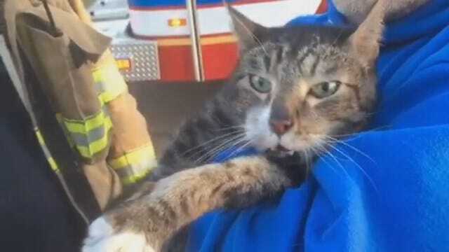 WEB EXTRA: Complete Video Of MWC Firefighters Saving Cat