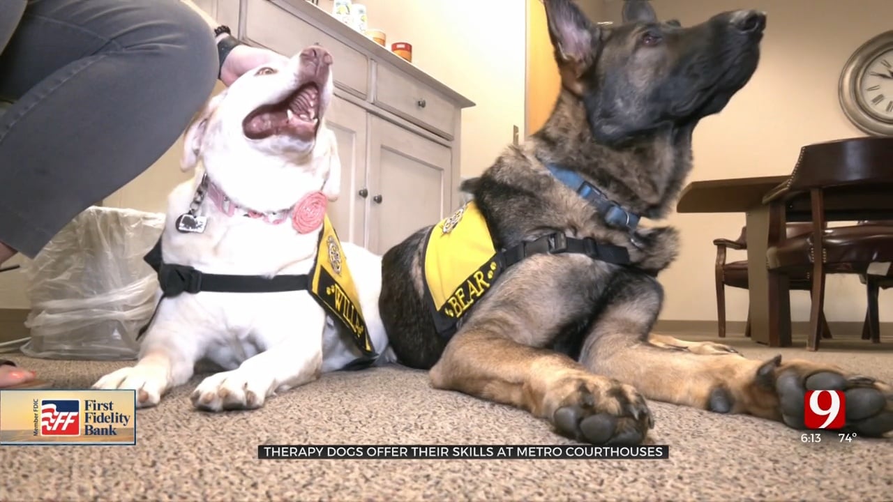 Local District Attorney's Office Utilizes Therapy Dogs