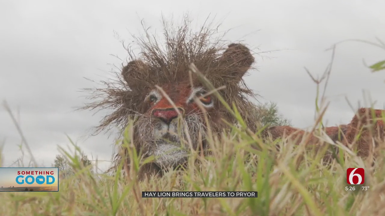 Pryor Artist Creates Lion Out Of Hay, Drawing Crowds From Across The Country