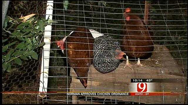Norman 'Goes To The Birds' With Passing Of New Ordinance