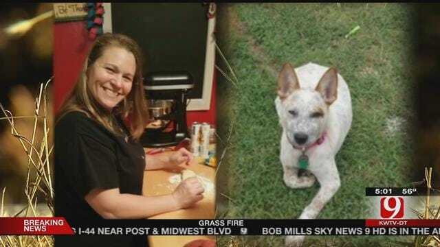 Dog Reunites With Family After Deadly Crash