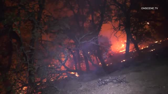 California Wildfires Reach Devastating Milestone, Scorching More Than 4 Million Acres
