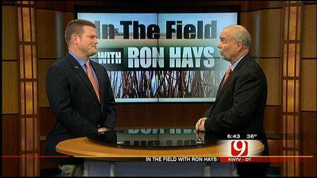 In The Field With Ron Hays: 2013 Wheat Crop