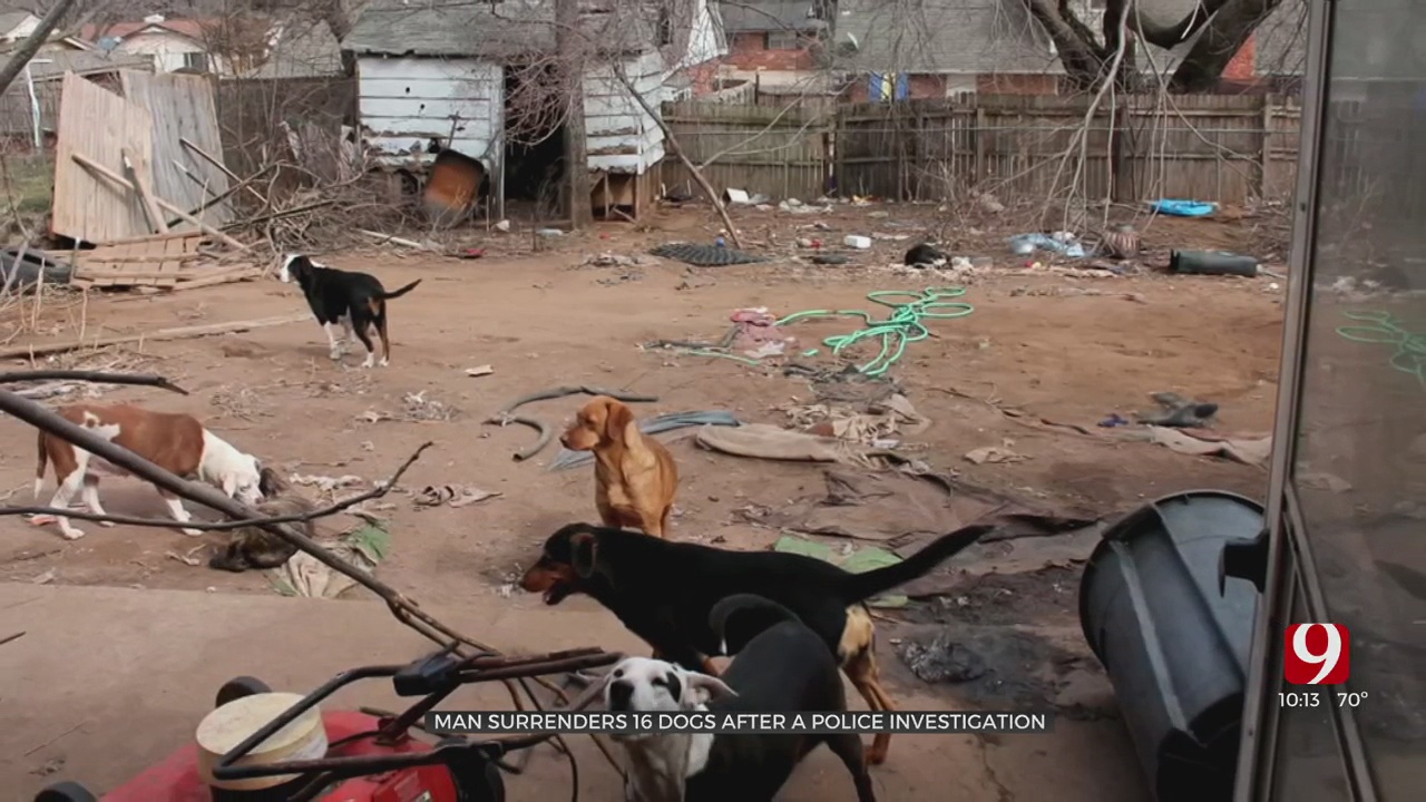 16 Dogs Removed From Warr Acres Home 