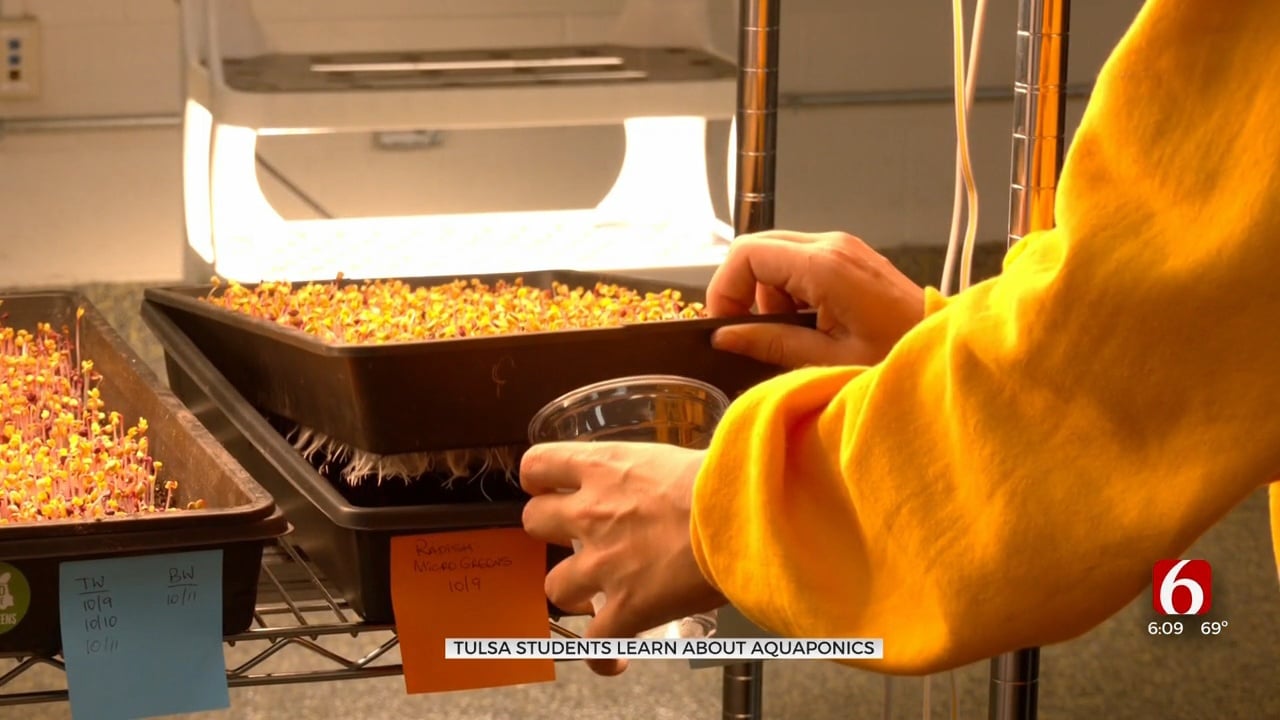 Food On The Move Receives Grant To Teach Aquaponics At Monroe Demonstration Academy