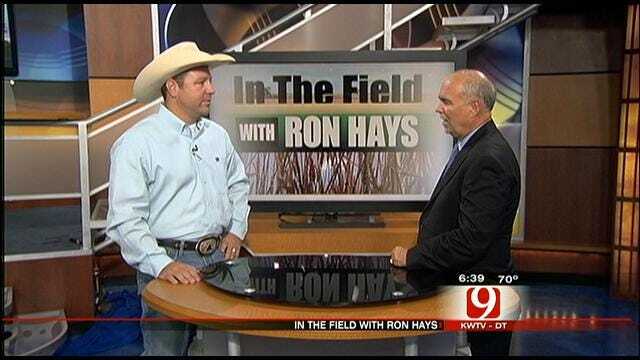 In The Field: World Livestock Auctioneer Champion