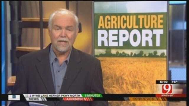 Ag Report: Ron Hays Discusses Cotton