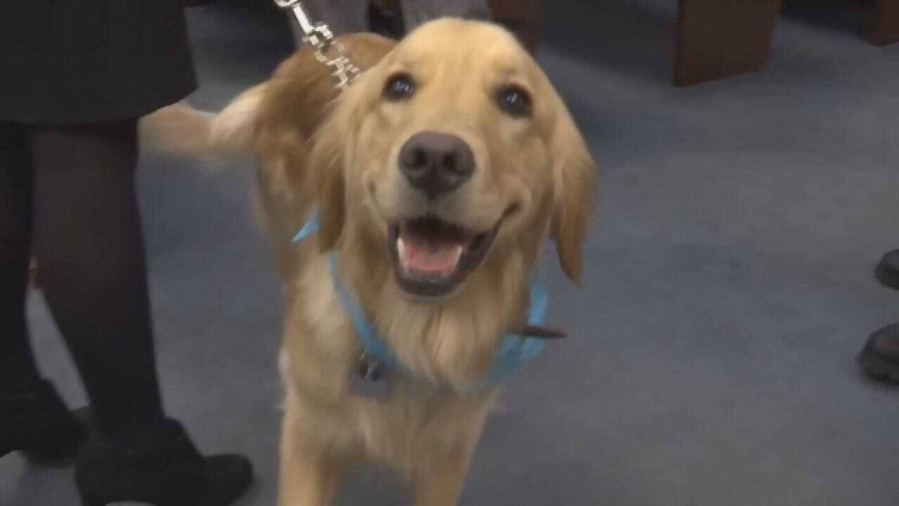 Prosecutor's Office Adds Trained Support Dog