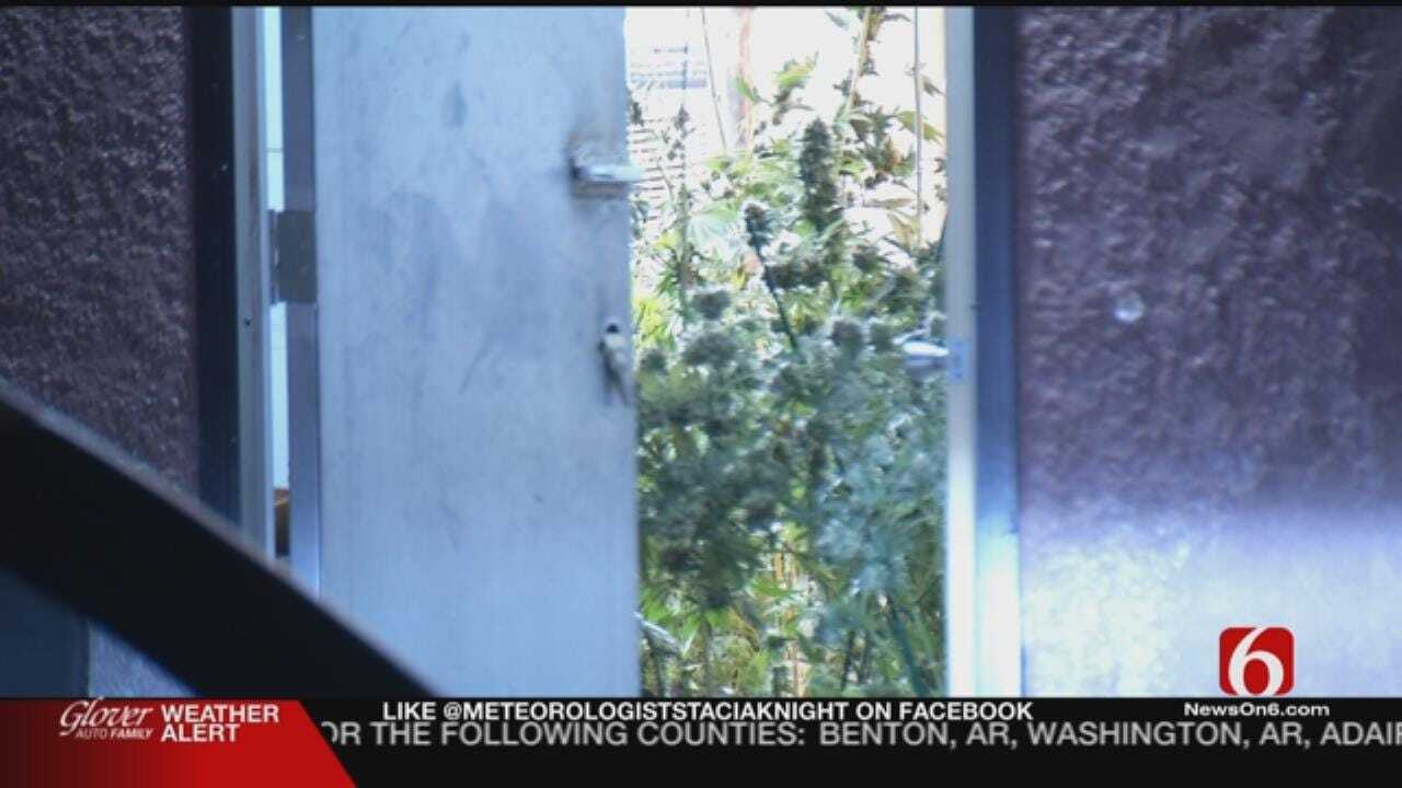 Tulsa Police Frustrated By Poorly Protected Marijuana Growing Facility