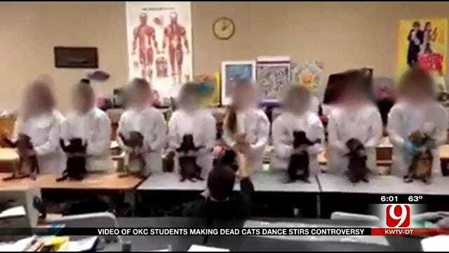 School Facing Backlash After Video Shows OKC Students Making Dead Cats 'Dance'