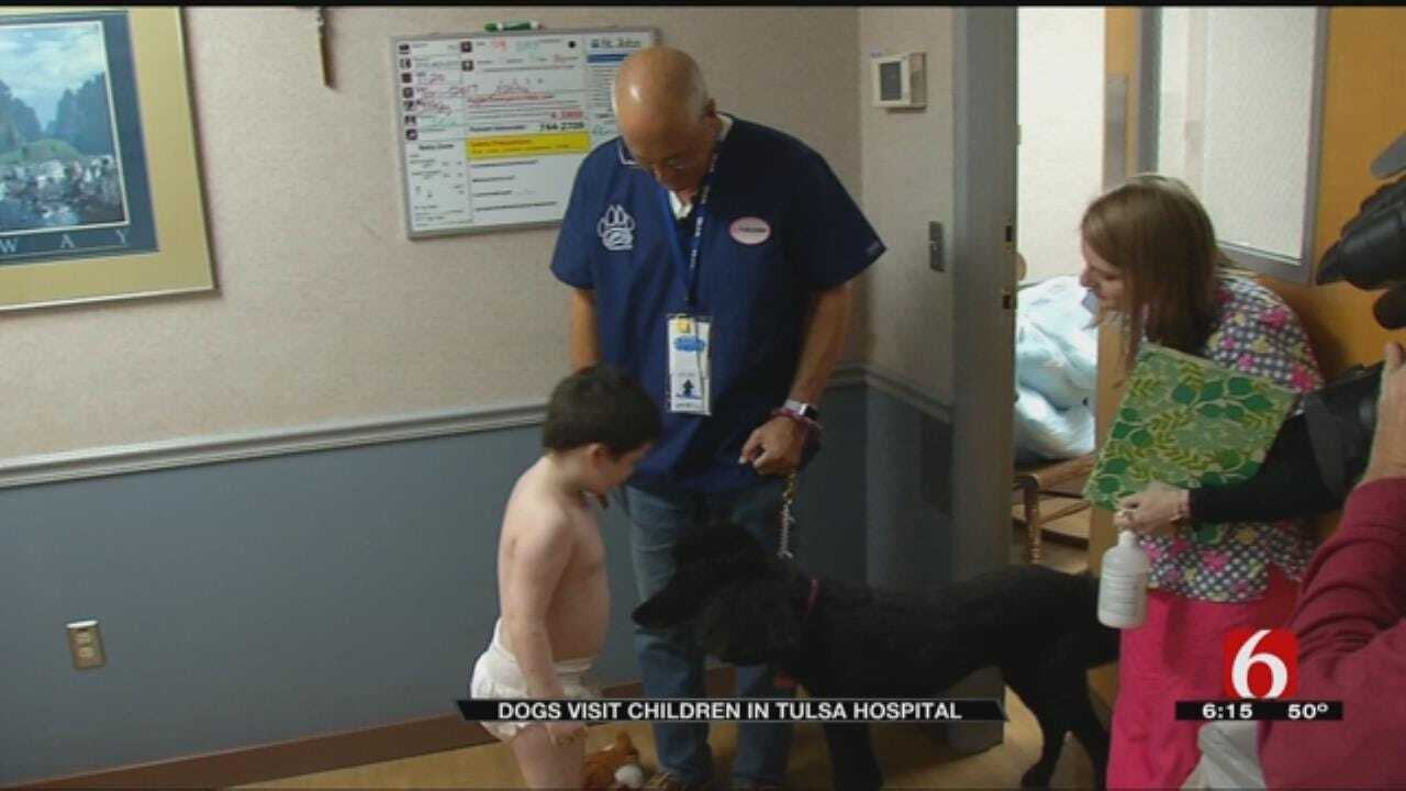 Dogs Help Bring Joy To Kids Spending Thanksgiving In Tulsa Hospital