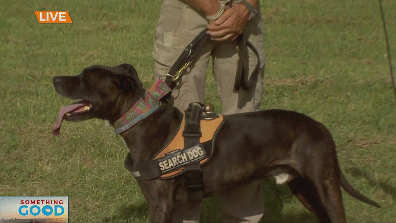 Oklahoma K-9 Looking To Be Nation's Top Rescue Dog