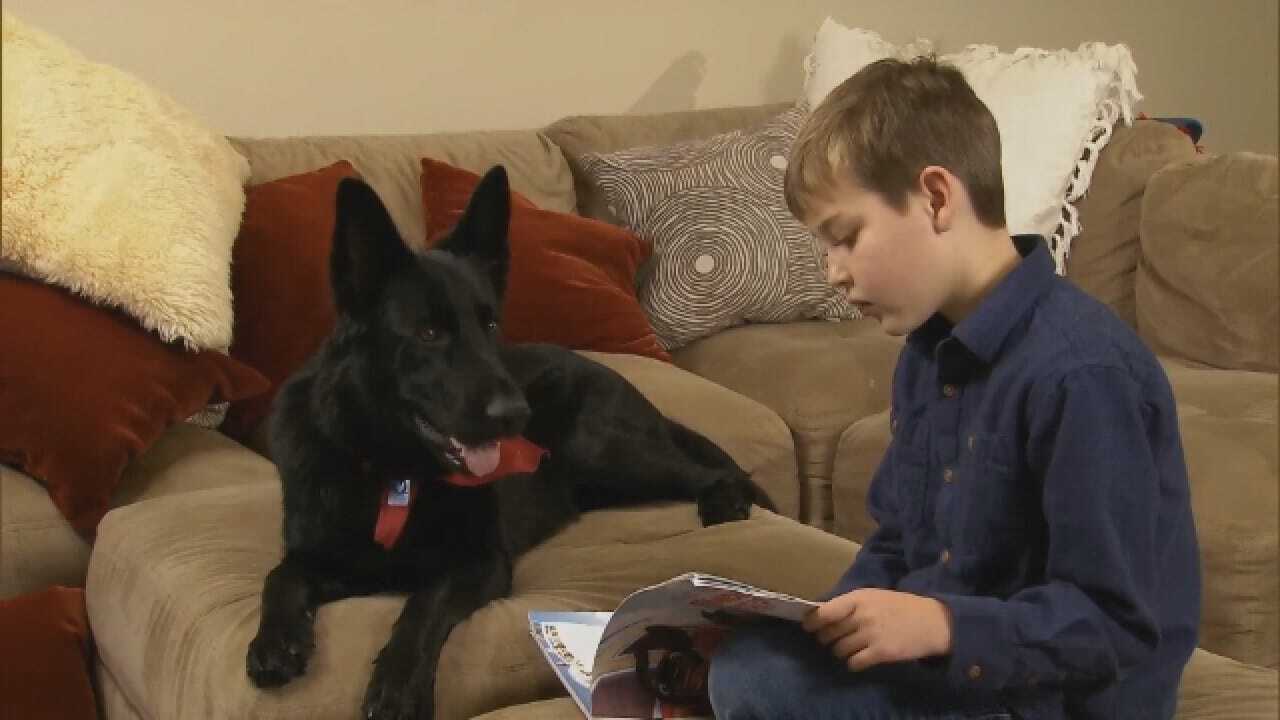 Stranger Drives 2,300 Miles To Reunite Boy Recovering From Surgery With His Dog