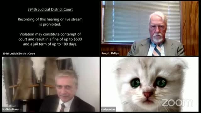 'I'm Not A Cat': Lawyer Presents Case Before A Judge With Zoom Filter 
