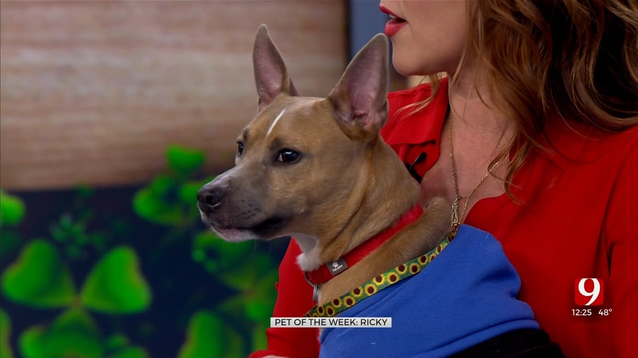 Pet Of The Week: Ricky