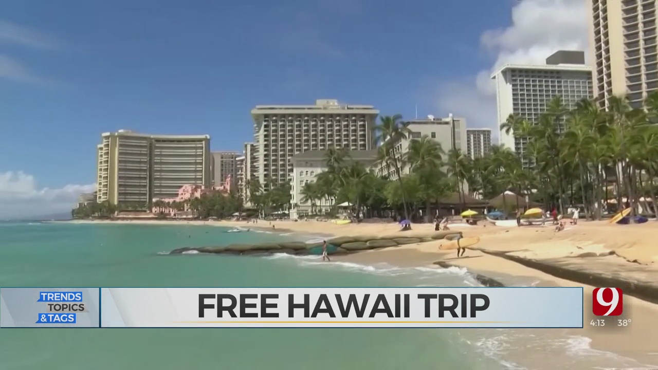 Trends, Topics & Tags: Free Hawaii Trip